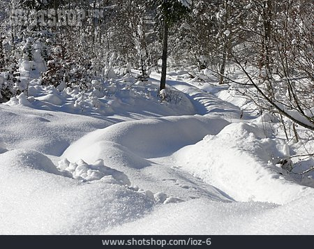 
                Winterlandschaft, Waldweg, Verschneit                   