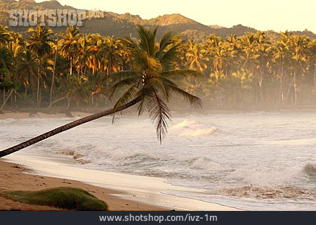 
                Küste, Morgenstimmung, Dominikanische Republik                   