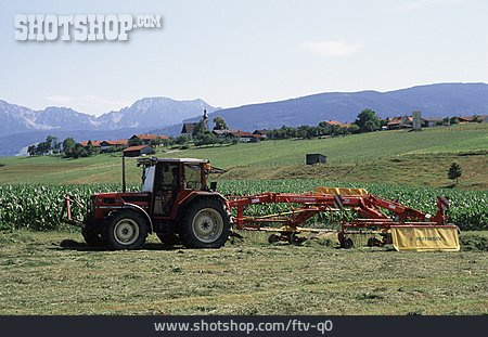 
                Landwirtschaft, Heuernte, Schwader                   