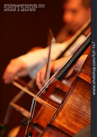
                Musizieren, Cello                   