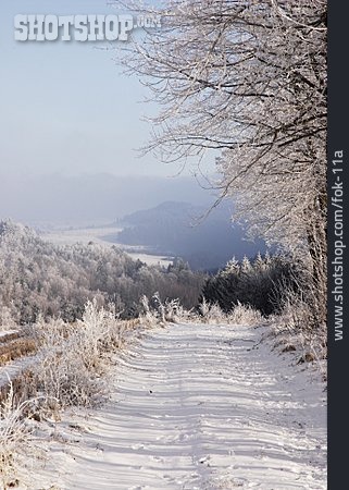 
                Weg, Winterlandschaft, Thüringen                   