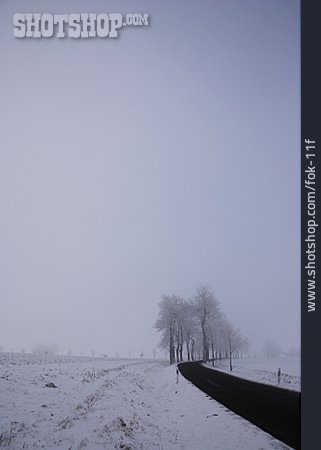 
                Winter, Diesig, Landstraße                   