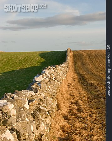 
                Landwirtschaft, Ackerbau, Steinmauer, Irland                   