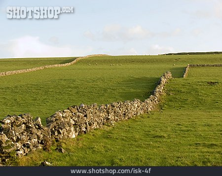 
                Weide, Steinmauer, Irland                   