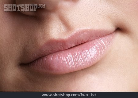 
                Lippen, Mund                   