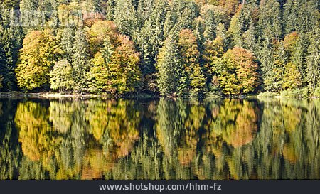 
                See, Herbst, Spiegelung, Schwarzwald, Feldsee                   