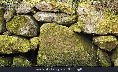 
                Natursteine, Trockenmauer                   