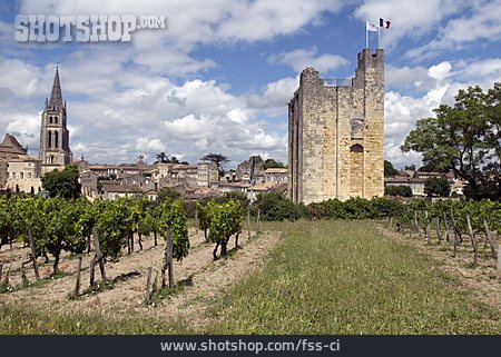 
                Weinbau, Frankreich, Saint-émilion                   