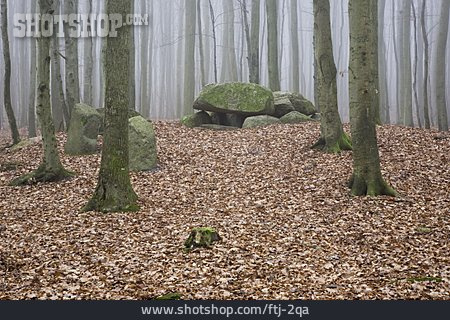 
                Buchenwald, Nationalpark Jasmund, Hünengrab                   