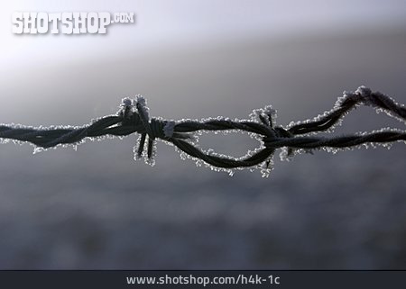 
                Frost, Ice Crystals, Razor Wire                   