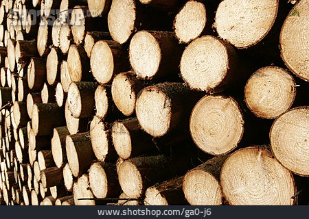 
                Forstwirtschaft, Rohstoff, Brennholz                   