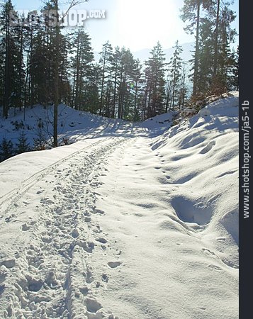 
                Weg, Winter, Waldweg, Schnee                   