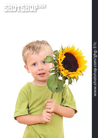 
                Junge, Sonnenblume, Muttertag                   