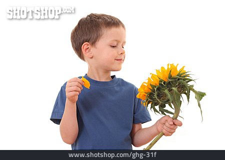 
                Junge, Blume, Abzählreim                   