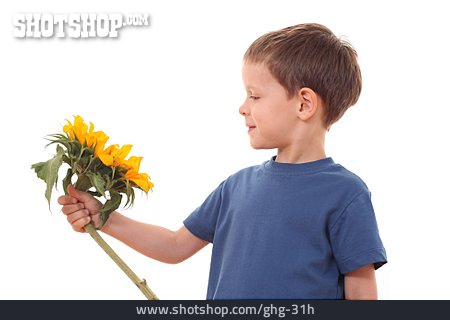 
                Junge, Blume, Sonnenblume                   