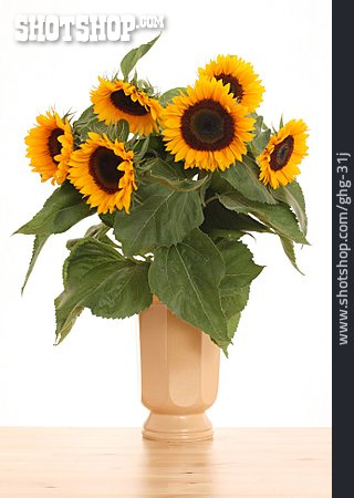 
                Sonnenblume, Blumenstrauß, Vase                   