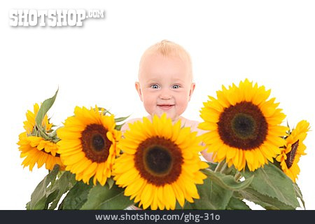 
                Baby, Blume, Sonnenblume                   