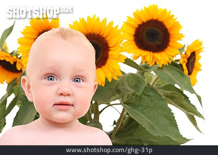 
                Baby, Sonnenblume                   