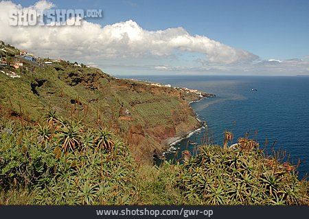 
                Küste, Madeira, Funchal                   