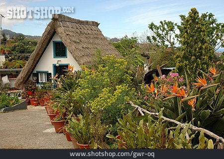 
                Bauernhaus, Madeira, Santana                   