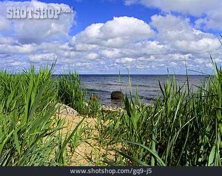 
                Ostsee, Ostseeküste                   