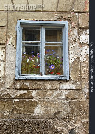 
                Fenster, Blumenschmuck, Blumenfenster                   
