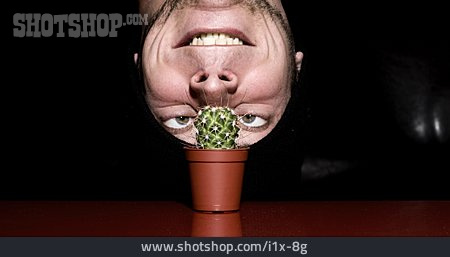
                Kaktus, Stachelig, Humor & Skurril, Kopfstand                   