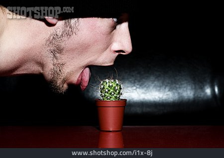 
                Kaktus, Zunge Rausstrecken, Stachelig, Humor & Skurril                   