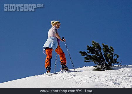 
                Junge Frau, Frau, Aufstieg, Skifahren                   