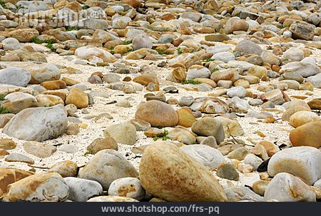 
                Stein, Steinstrand                   