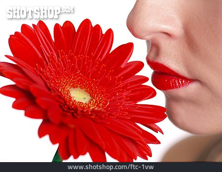 
                Beauty & Kosmetik, Frau, Blume, Rot                   