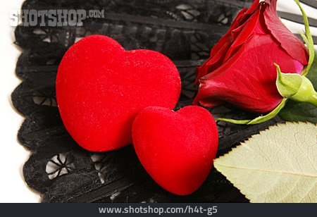 
                Liebe, Herz, Rote Rose, Liebeserklärung                   