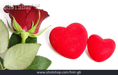 
                Herz, Valentinstag, Rote Rose, Hochzeitstag                   
