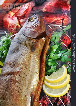 
                Fisch, Grill, Forelle                   