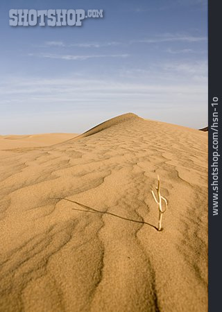 
                Wüste, Trockenheit, Dürre, Marokko                   