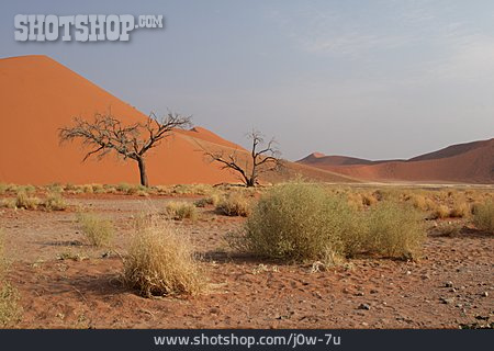 
                Wüste, Namibia, Namibsand-düne                   