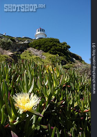 
                Leuchtturm, Südafrika, Cape Point                   
