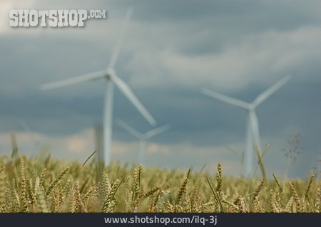 
                Weizen, Windenergie, Getreidefeld                   