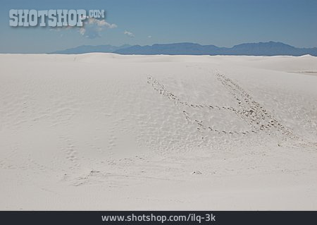 
                Wüste, Fußspur, White Sands, White Sands National Monument                   