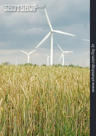 
                Alternative Energie, Getreidefeld                   