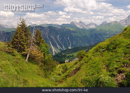 
                Allgäu, Alpen, Gebirgskette                   