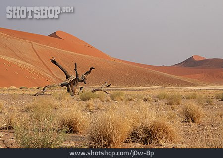 
                Namibia, Sossusvlei, Namib                   
