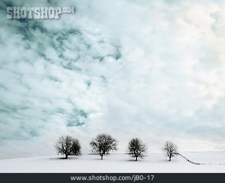 
                Winter Landscape, Cloudy Sky                   