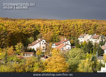 
                Unwetter, Laubwald, Slowakei                   