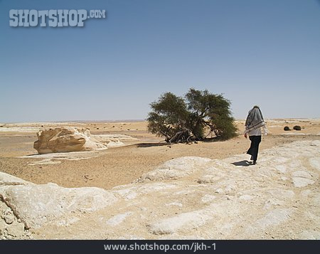 
                Wüste, Nordafrika, Araber                   