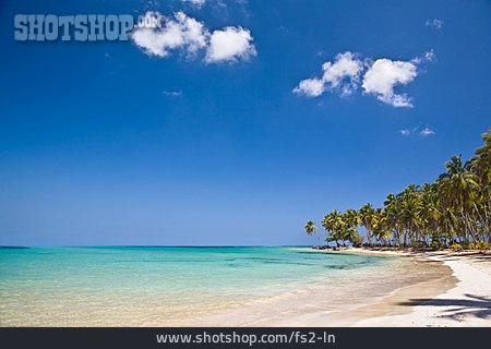 
                Strand, Palme, Karibik                   