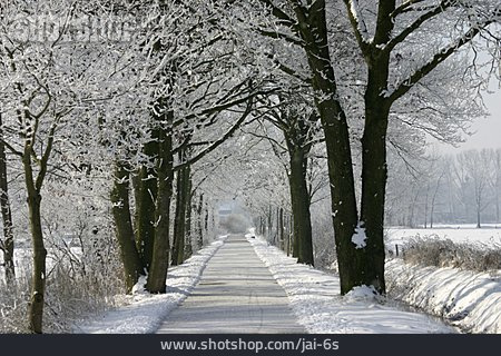 
                Weg, Winterlandschaft, Frost                   