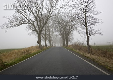 
                Nebel, Geradeaus, Landstraße                   
