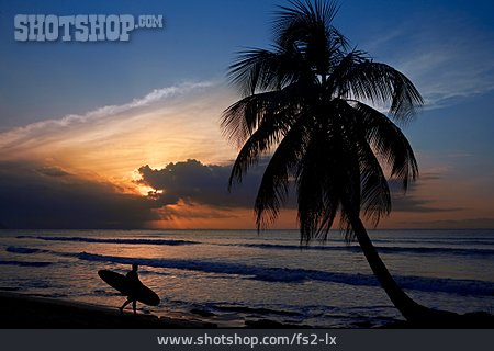 
                Strand, Palme, Surfer                   