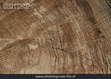
                Holz, Baumscheibe                   